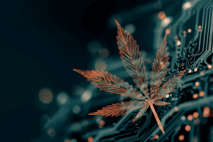 Synthetic cannabinoids are lab-made, which means they are not natural substances