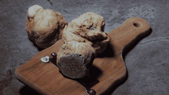 Types of truffles on a wooden serving platter