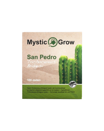 San Pedro T. bridgesii seeds - 100 pc