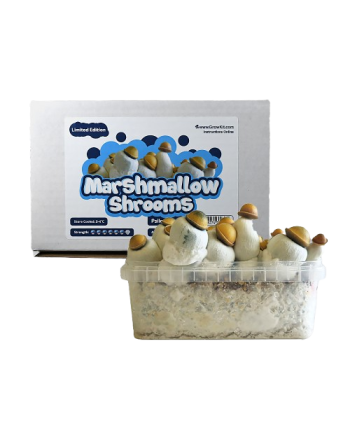 Marshmallow Shrooms Growkit - 1200 cc