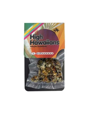 Magic Truffles High Hawaiians kopen Funcaps
