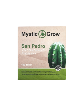 San Pedro T Pachanoi seeds - 100 pc