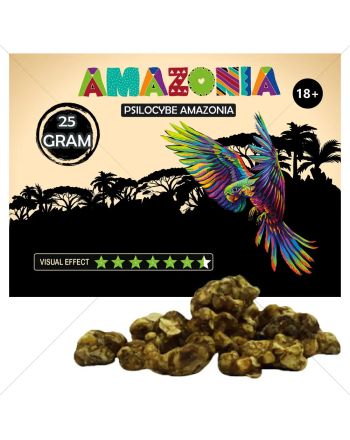 Psilocybe Amazonia Truffels - 25
Gram kopen Funcaps