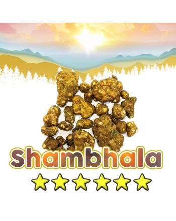 Psilocybe Shambhala Truffles - 15grams