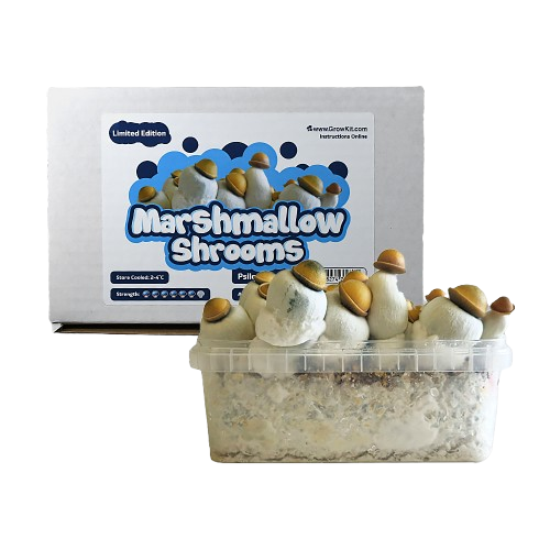 Marshmallow Shrooms Growkit - 1200 cc