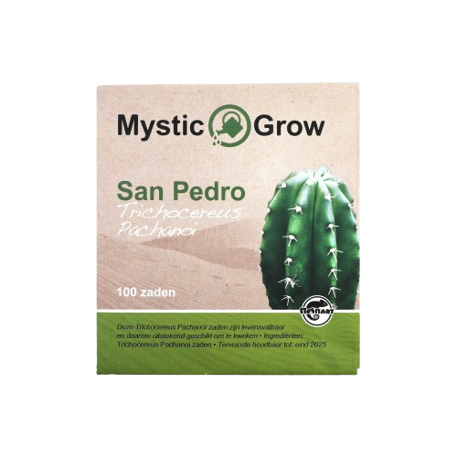 San Pedro T Pachanoi seeds - 100 pc