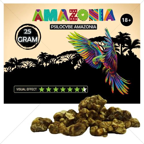 Psilocybe Amazonia Truffels - 25
Gram kopen Funcaps