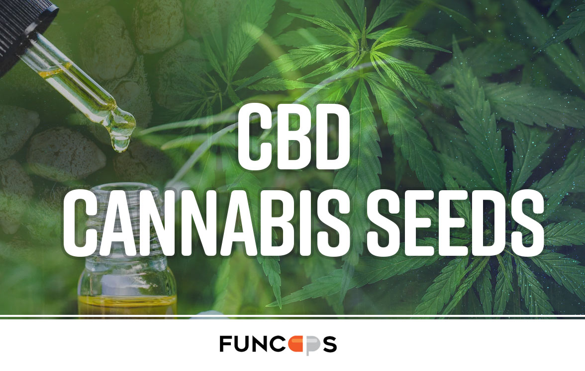 CBD cannabis seeds